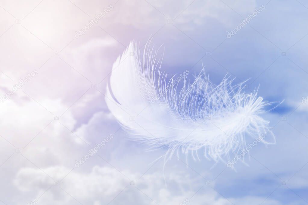 Soft Lightly White Feathers Floating in The Sky. Abstract Feather Flying in Heavenly Concept.