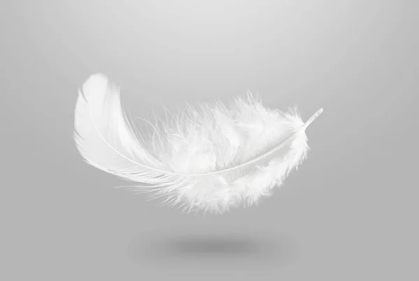 羽毛の下だ 柔らかい白いふわふわの羽が空中に落ちます 灰色の背景に白鳥の羽 — ストック写真