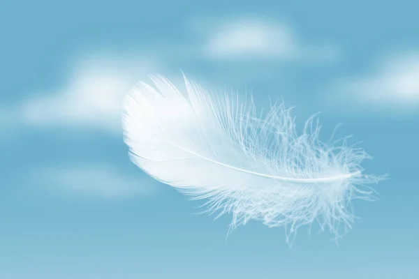概要空に浮かぶ白い綿毛 白鳥の羽天に飛んでいます 羽毛の下 — ストック写真
