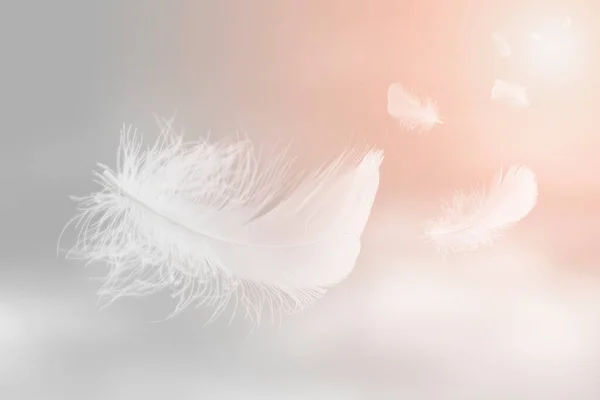 Plumes Oiseaux Blancs Flottant Dans Ciel Avec Des Nuages Plume — Photo