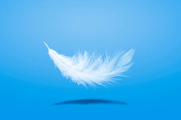Penas Baixas Soft White Fluffly Feather Falling Air Inglês Pena — Fotografia de Stock