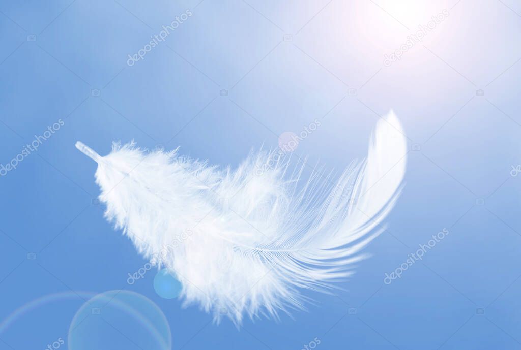 Single a White Fluffly Feathers Floating in a Blue Sky. Swan Feather Flying on Heavenly. Down Feathers