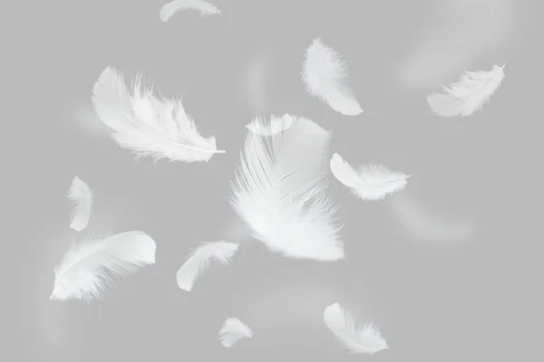 Plumas Suaves Ligeramente Blancas Flotando Aire Pluma Abstracta Volando Concepto —  Fotos de Stock