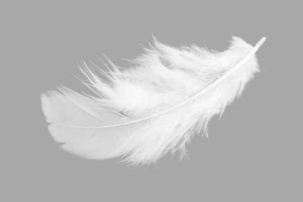 Белое Птичье Перо Черном Фоне — стоковое фото