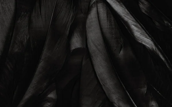 黑鸟胎的纹理背景 — 图库照片