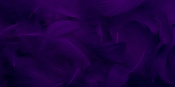 Dark Purple Feathers Texture Background — Photo