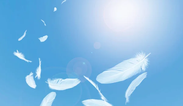 Group White Bird Feathers Floating Sky Feathers Flying Heavenly Concept — Fotografia de Stock