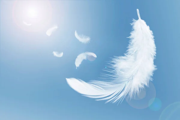 White Fluffy Feathers Floating Sky Swan Feathers Flying Heavenly — Fotografia de Stock