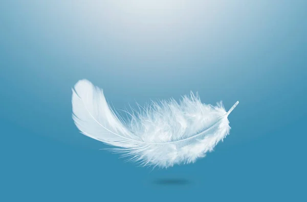 Abstrakt Single White Fluffly Feather Falling Air Labutí Pírko Dolů — Stock fotografie