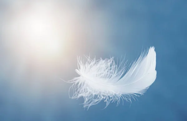 Penas Fluffy Branco Único Flutuando Céu Penas Cisne Voando Céu — Fotografia de Stock
