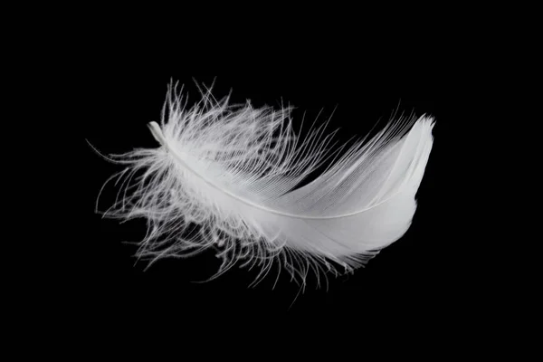 白色飘飘欲仙的羽毛在白色背景下分离 — 图库照片