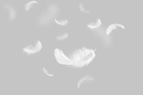 Abstract White Bird Feathers Плаває Повітрі Леткі Пера Сірому Фоні — стокове фото