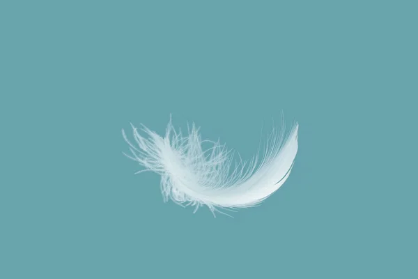 Abstract Single White Bird Feathers Falling Air Swan Feather — 스톡 사진