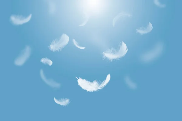 White Fluffy Feathers Floating Sky Swan Feathers Flying Heavenly — стоковое фото