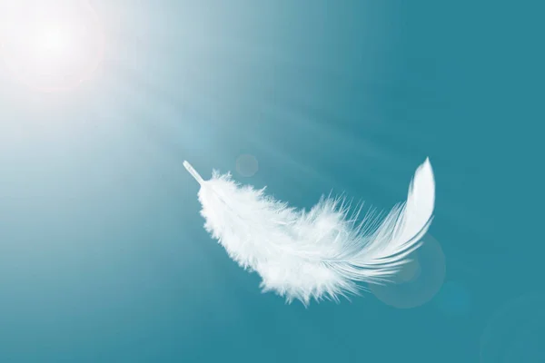 Abstract Single White Bird Feather Floating Sky Flying Swan Feather — Fotografia de Stock