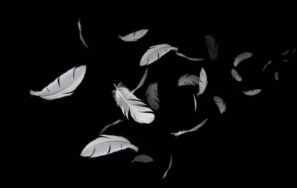 Abstract Group of White Bird Feathers Floating in The Dark. Feathers on Black Background.