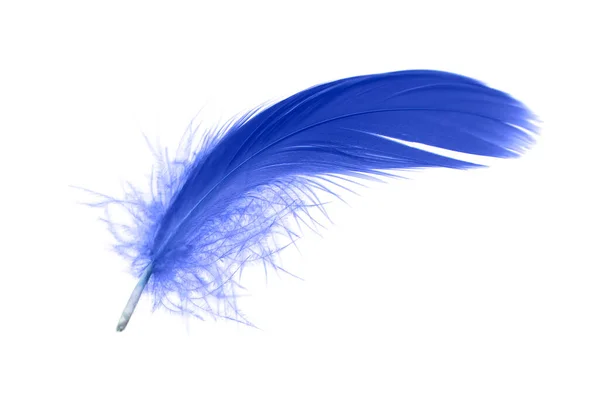 Blue Feather Isolated White Background Swan Feather — Stock Photo, Image
