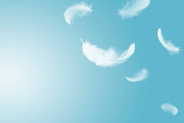 Abstract White Bird Feathers Плаває Небі Летюча Пір — стокове фото