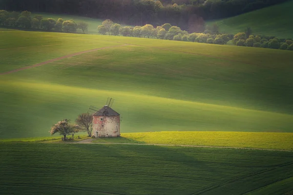 Morávia Sul Paisagem Rural Com Moinho Vento Velho Verde Ensolarado — Fotografia de Stock