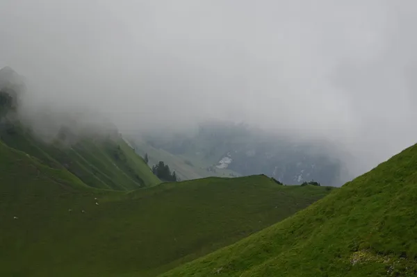 Szwajcarski Obszar Wiejski Zielonymi Wzgórzami Mglisty Pochmurny Dzień — Zdjęcie stockowe