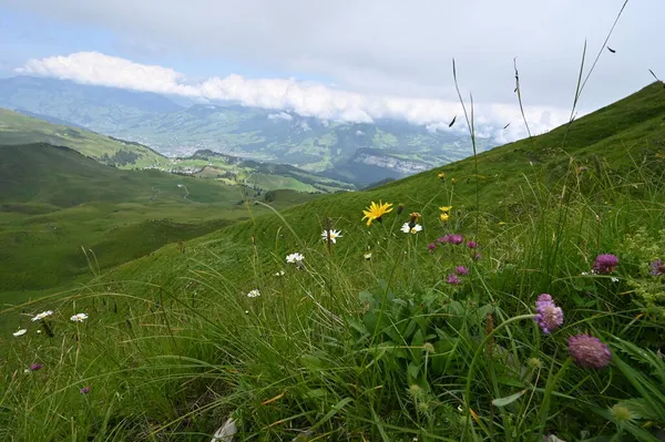 Paysage Alpin Par Une Journée Juillet Collines Verdoyantes Vallée Dans — Photo