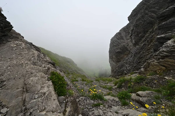 Пешеходная Тропа Туманной Горной Тропе Швейцарии — стоковое фото