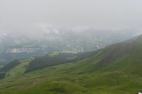 Летний Пейзаж Швейцарских Зеленых Холмов Деревьями Туманное Утро — стоковое фото