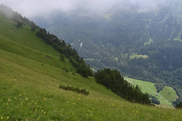 Zielone Wzgórza Dolina Wiejskim Obszarze Alp Szwajcarskich Szwajcaria — Zdjęcie stockowe