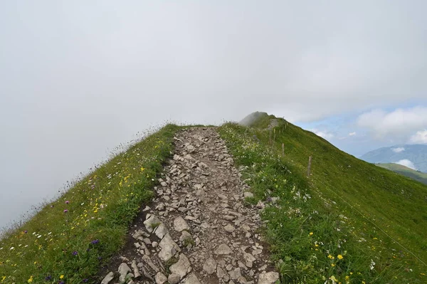 Mglista Skalista Ścieżka Skraju Alp Łąką — Zdjęcie stockowe