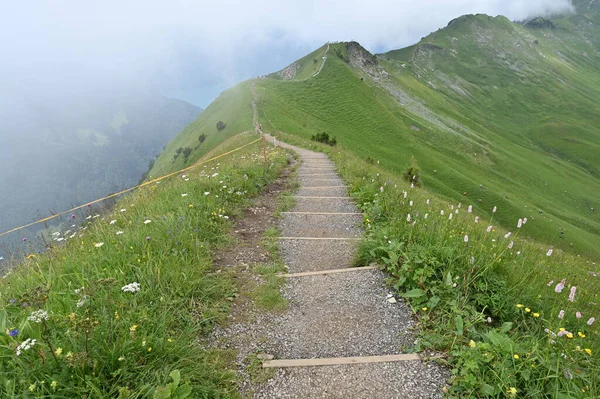 Weg Mit Steinwanderweg Und Treppe Den Alpen — Stockfoto