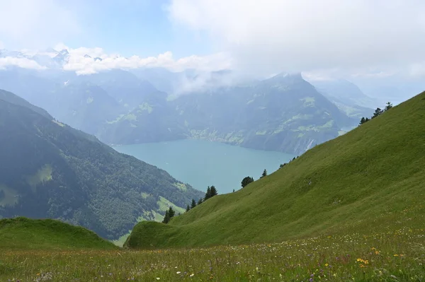澄んだ湖と緑の丘が満開のアルプスの山の風景と霧 曇りの空 — ストック写真