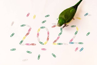 2022 numara beyaz arka planda çok renkli ataçlardan döşenmiştir.. 