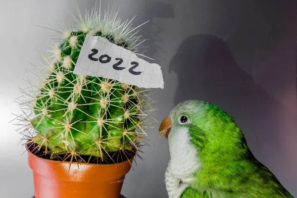 Het nummer 2022 is geschreven op een stuk papier. Nieuwjaar voor dieren — Stockfoto