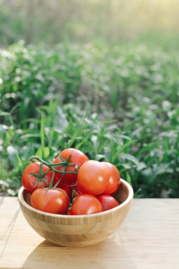 Ahşap bir tabakta bir sürü kırmızı domates, yeşil bir arka planda..
