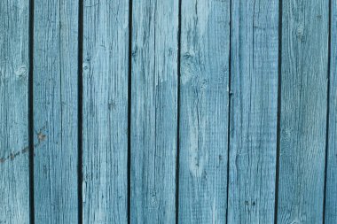 Bir sürü kırmızı, taze kırmızı biber.