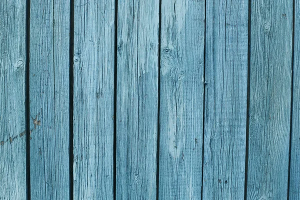 Bir sürü kırmızı, taze kırmızı biber.