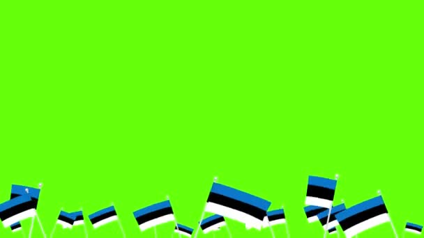 Many waving estonian flags on green screen — Stock Video