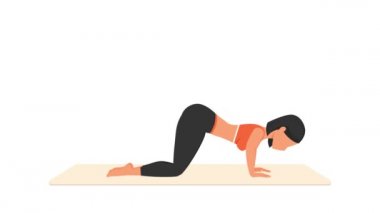 Şınav çekme egzersizi dersi. Paspasın üzerinde kadın egzersizi. Spor yapan bir kadın. Genç kız karakter eğitimli 2D animasyon. Spor ve sağlıklı yaşam tarzı kavramı.