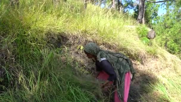 若いインドの女性農家は彼らの必要性のために草を切る 畑で働く女性農家 — ストック動画