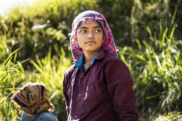 Retrato Uma Agricultora Indiana Trajes Tradicionais Menina Agricultor Indiano Trabalhando Imagens De Bancos De Imagens Sem Royalties