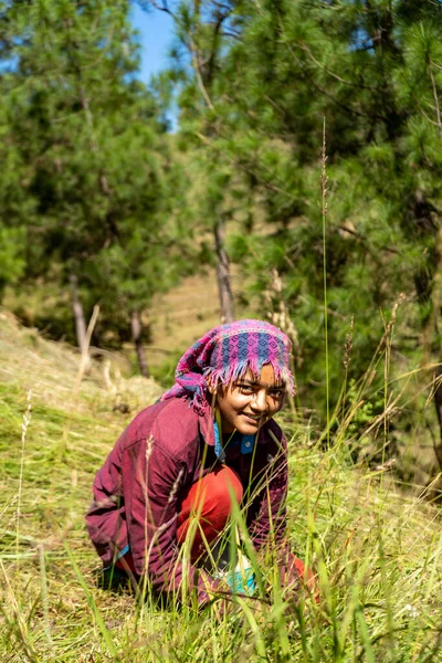Retrato Uma Agricultora Indiana Trajes Tradicionais Menina Agricultor Indiano Trabalhando Fotos De Bancos De Imagens