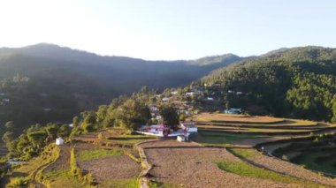 Genç Hintli çocuk ormanda sırt çantasıyla seyahat ediyor. Vahşi doğayı keşfeden genç bir gezgin.