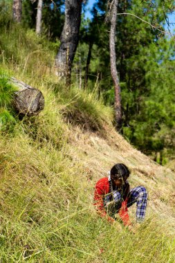 Tarlada çalışan genç Hintli çocuk, genç Hintli kadın çiftçi..