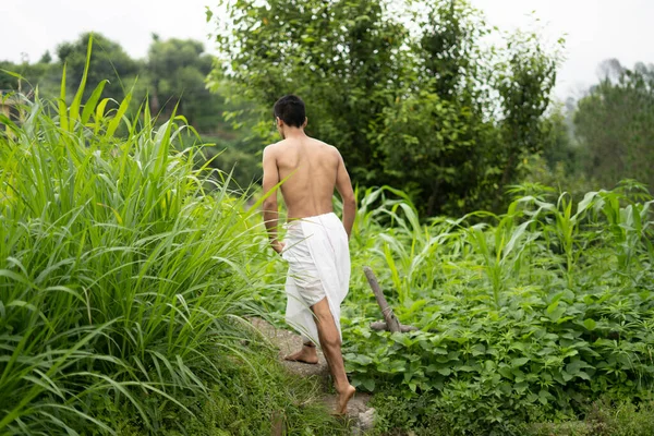 Young Indian fit boy, walking on a pathway beside crops in the field. An Indian priest walking while wearing white dhoti. Indian religious man.