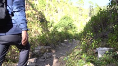 Genç Hintli çocuk ormanda sırt çantasıyla seyahat ediyor. Vahşi doğayı keşfeden genç bir gezgin.