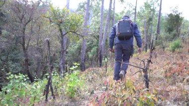 Genç Hintli çocuk ormanda sırt çantasıyla seyahat ediyor. Vahşi doğayı keşfeden genç bir gezgin.