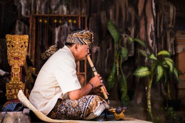 Bali - Endonezya - 10.22.2015: Endonezyalı müzisyen geleneksel giysiler içinde dikey bambu flüt çalıyor