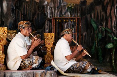 Bali - Endonezya - 10.22.2015: Endonezyalı erkekler geleneksel kıyafetler giyip dikey bambu flüt çalıyorlar
