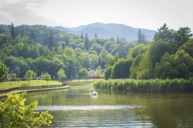 beautiful lake in a natural park based in Brasov Romania