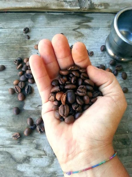 Elde kahve çekirdekleri — Stok fotoğraf